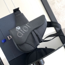 Christian Dior Waist Chest Packs